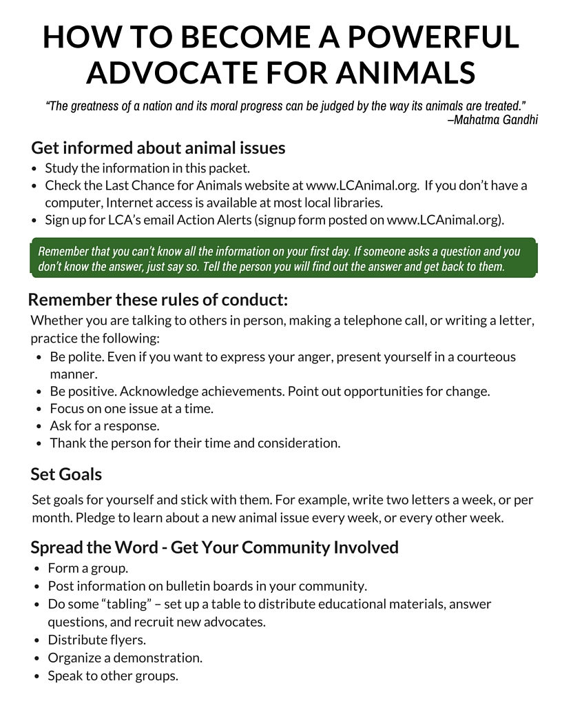 Last Chance for Animals How to an Effective Advocate for Animals